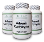 Adrenal Cordyzyme by Dr. Lam - 90 Veg Capsules - 3 Bottle Pack